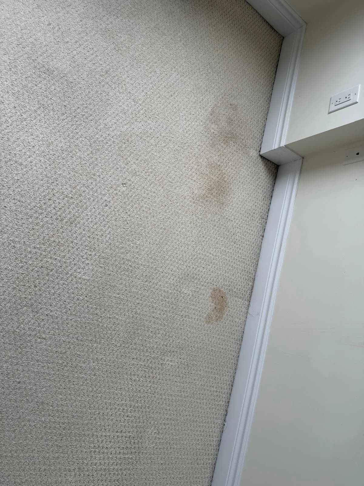 Stained townhouse carpet before linoleum flooring installation