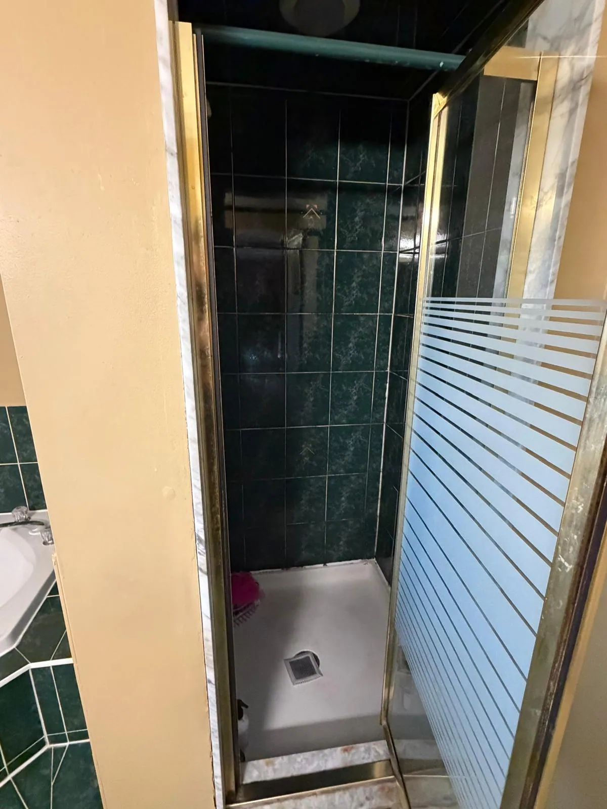 Existing framed glass shower before GTA bathroom remodeling
