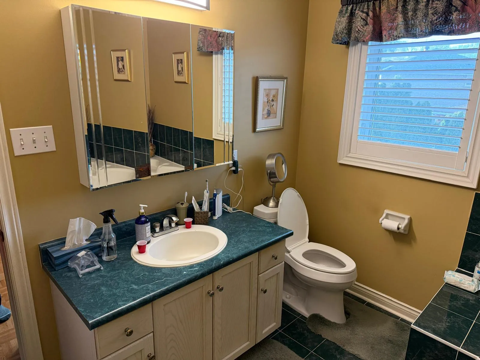 Existing vanity and toilet before full GTA bathroom remodel